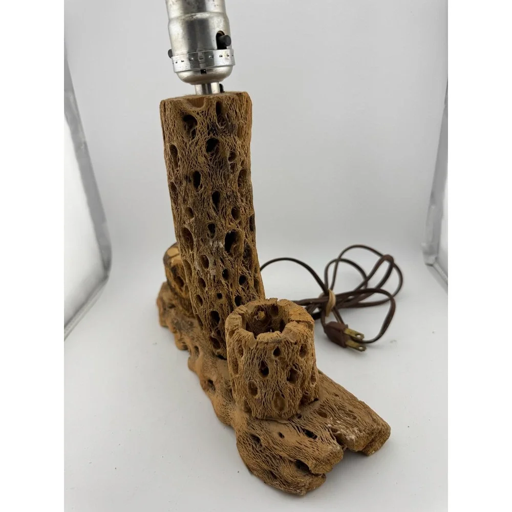 Cholla Cactus Lamp Rustic Desert‎ Decor Table Lamp Unique Accent Lighting